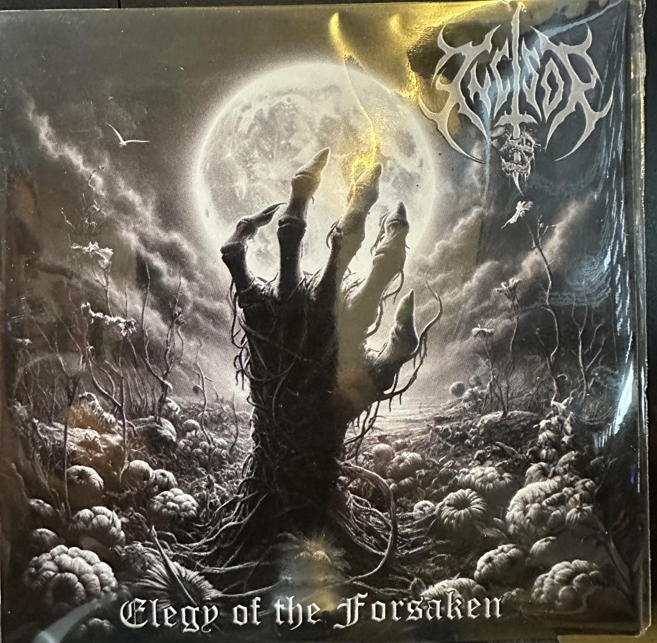 Elegy of the Forsaken