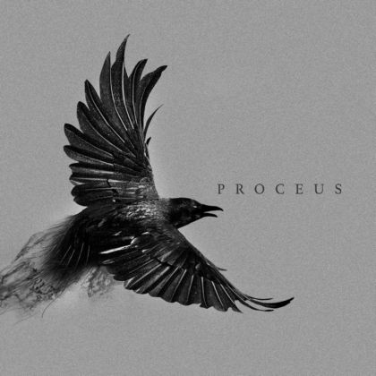 Proceus
