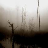 Laukahaud (Mire-Grave) (Promo)
