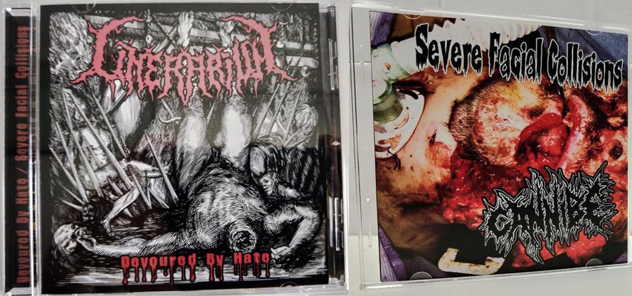 Devoured by Hate / Severe Facial Collisions