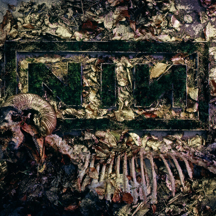 New NIN Idea