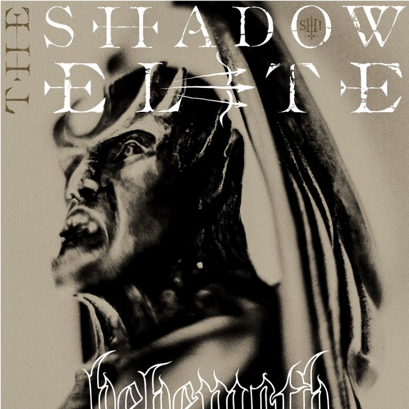 The Shadow Elite