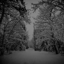 A Winter Night's Journey