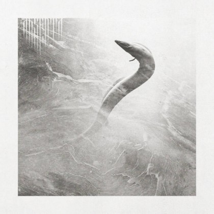 Eel