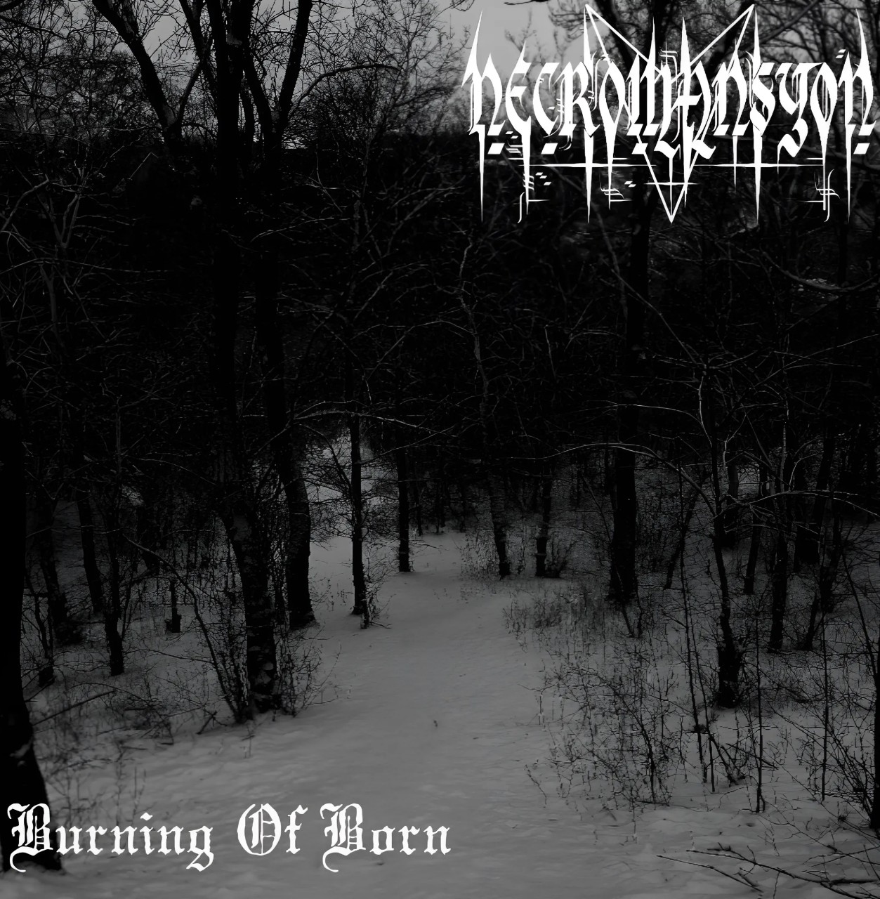Burning Of Born