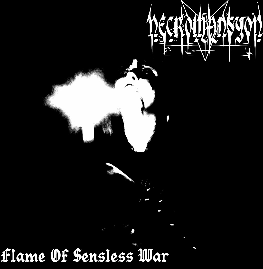 Flame Of Sensless War