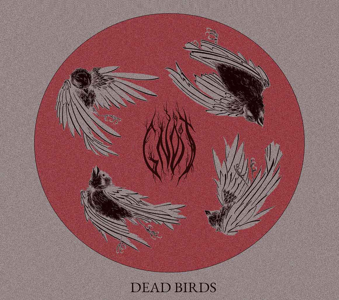 Dead Birds