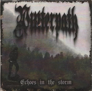 Echoes in the Storm