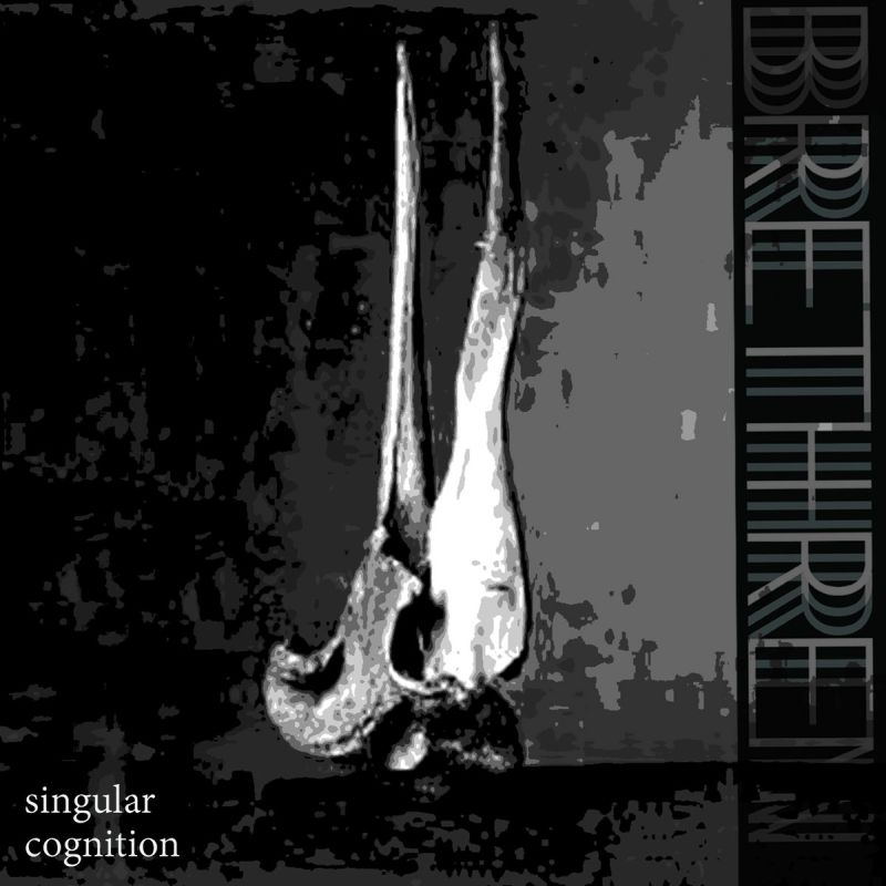 Singular Cognition