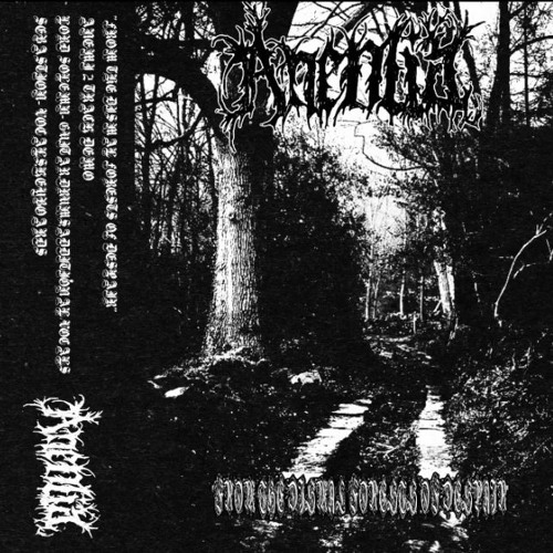 ‎From the Dismal Forest of Despair