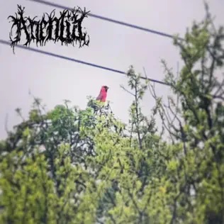 From the Dismal Forest of Despair (ENDING SONG)