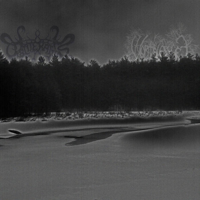 Lost Days