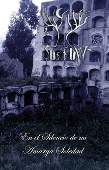En el silencio de mi amarga soledad