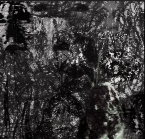 The Isolation Project