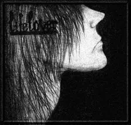 Ulvbern Lifelover tribute