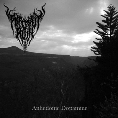 Anhedonic Dopamine