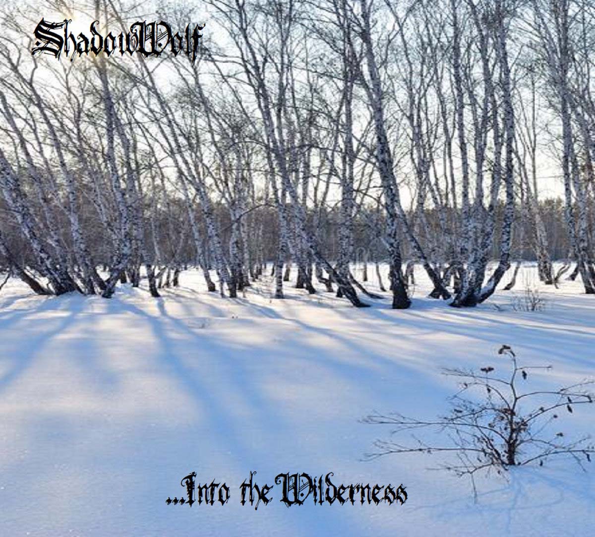 ...into the Wilderness