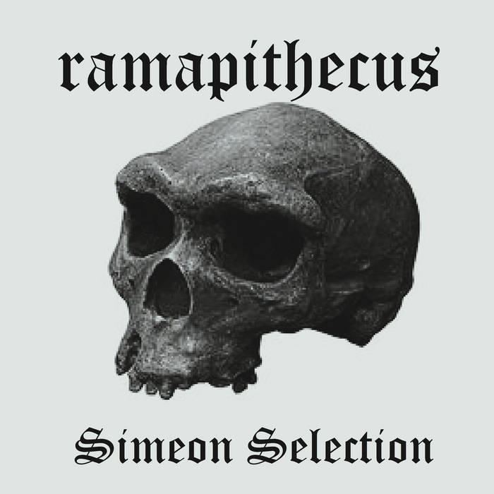 Simeon Selection
