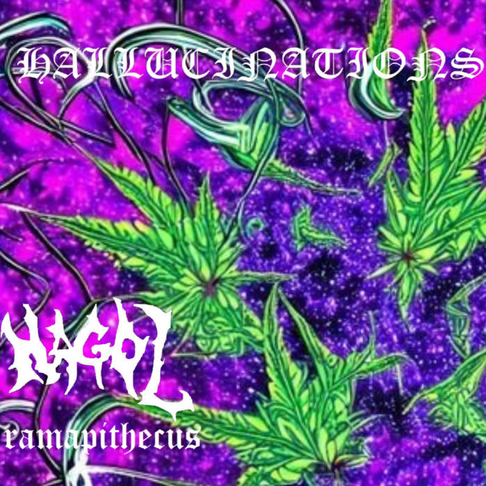 Hallucinations