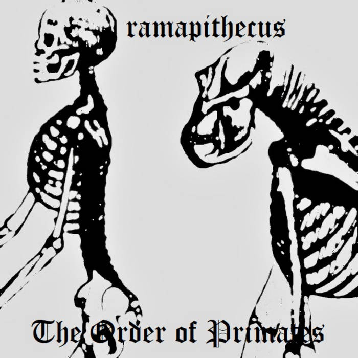 The Order of Primates