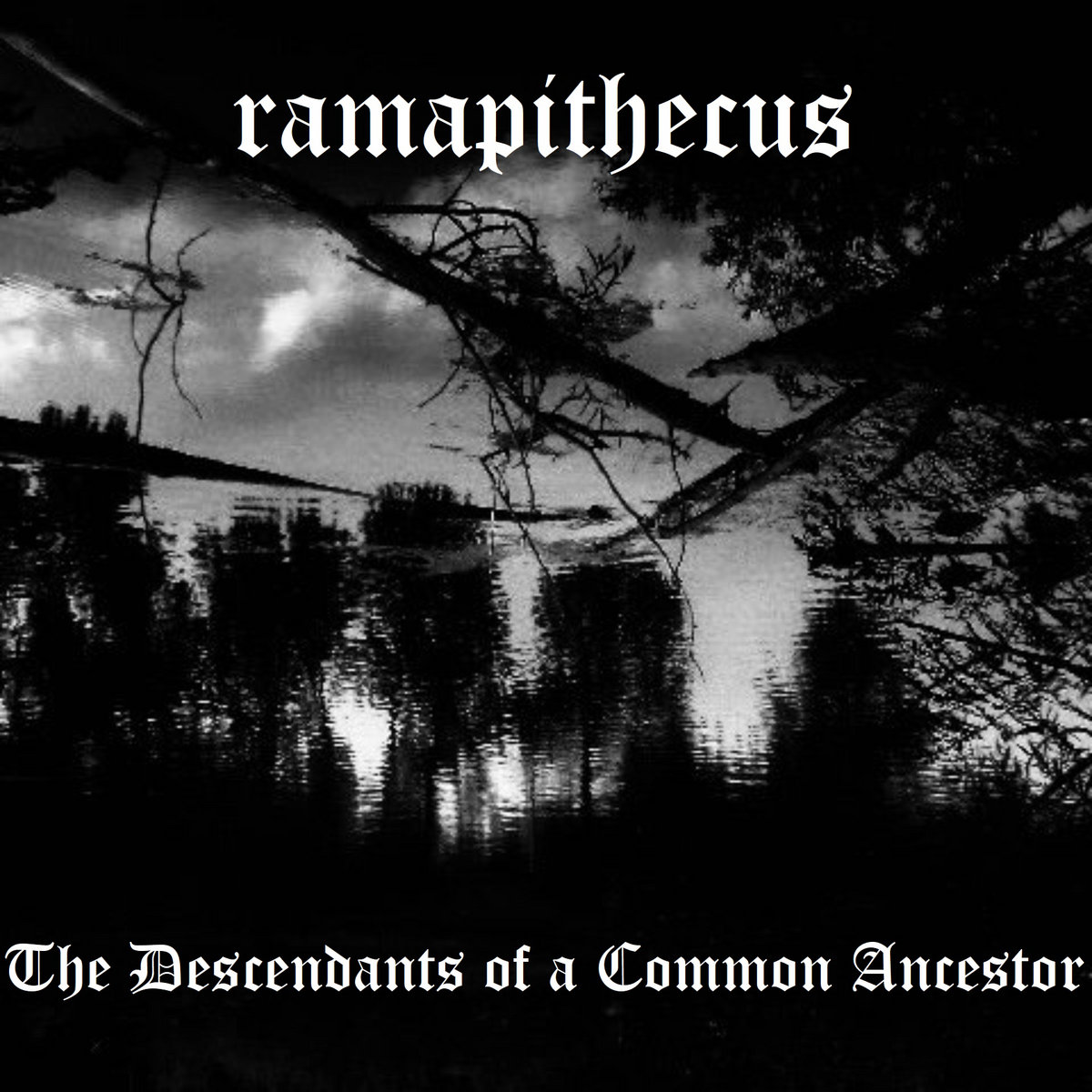 The Descendants of a Common Ancestor