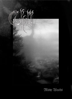 Misty Woods