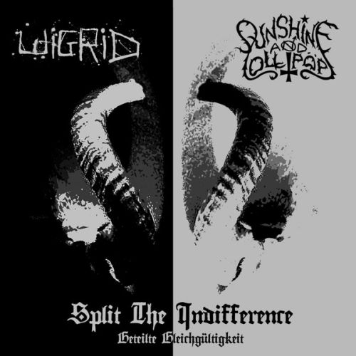 Split the Indifference (Geteilte Gleichgültigkeit)