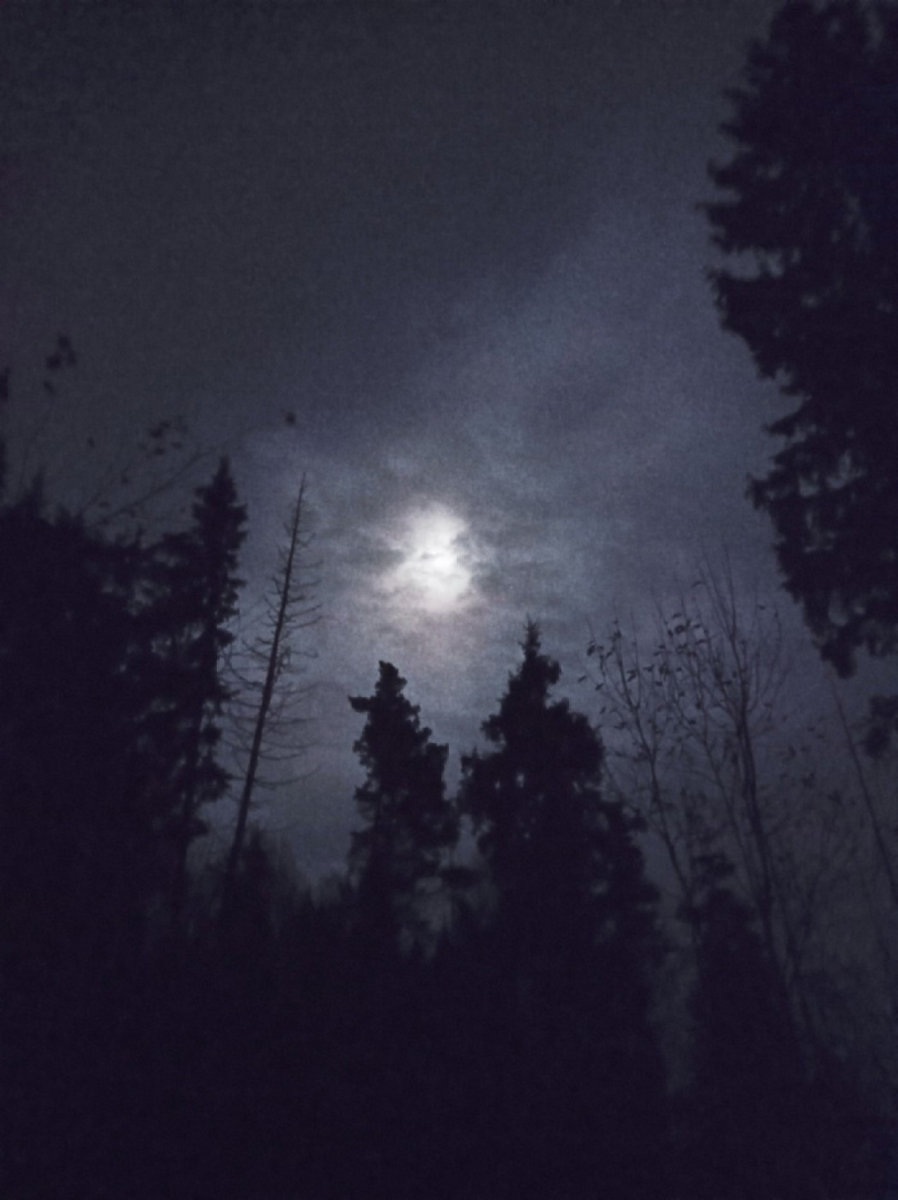 Night Veil