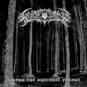 Across the Spectral Forest