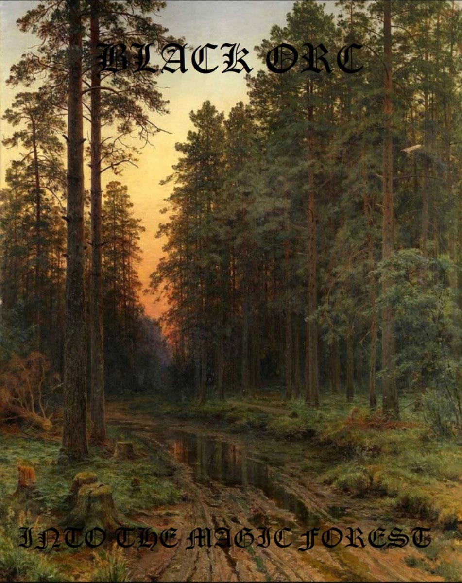 Into the Magic Forest