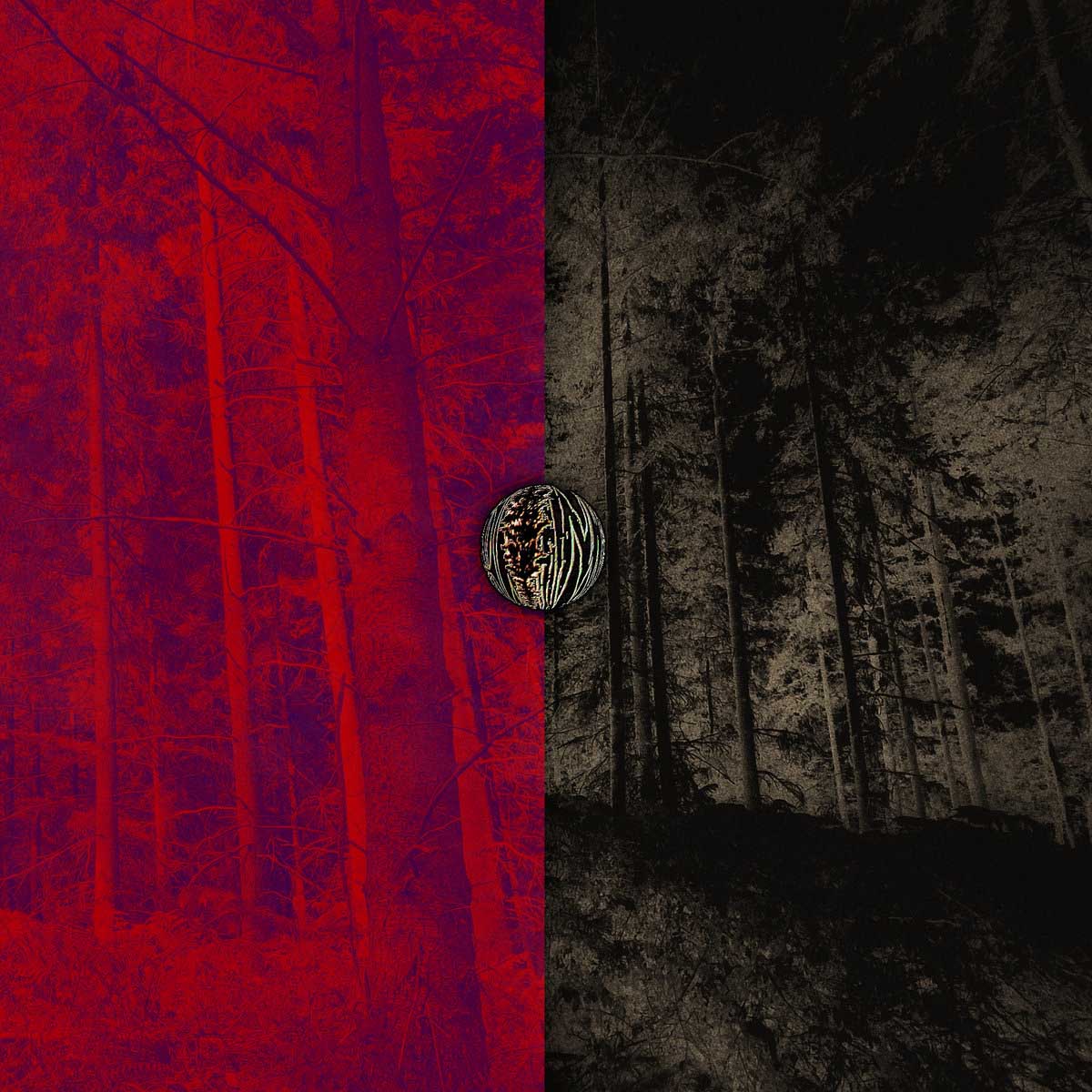 Solitary Journey to the Mysterious Caverns of Myølstêryyi: Forest of Êrÿrkkeünæ