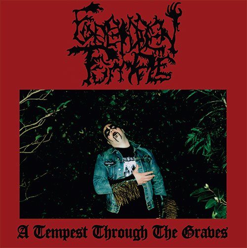 A Tempest Through the Graves