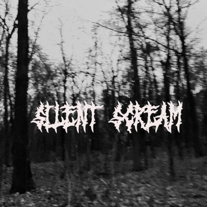 Silent Scream