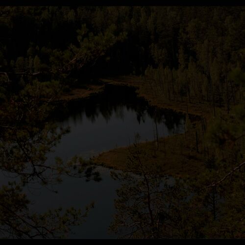 Surface Dwelling