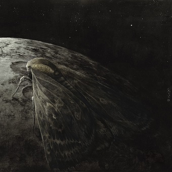 Moth and the Moon