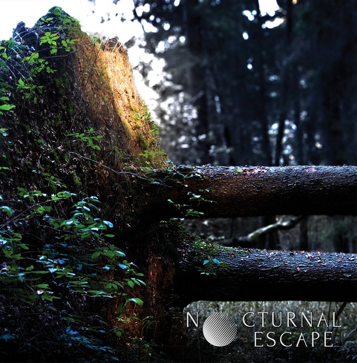 Nocturnal Escape