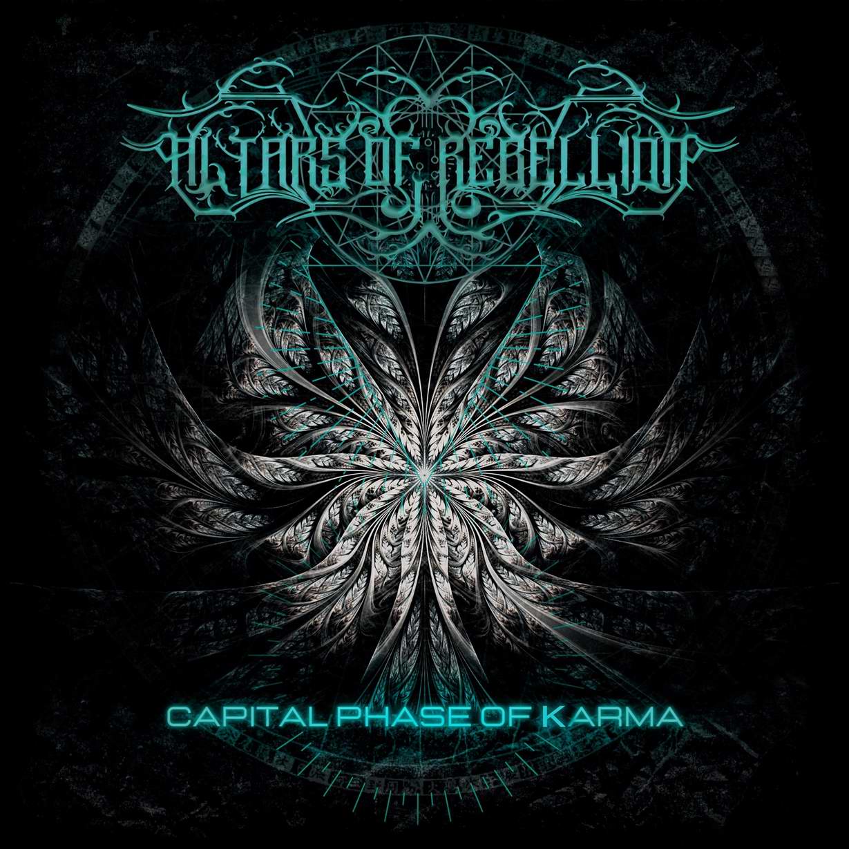 Capital Phase of Karma