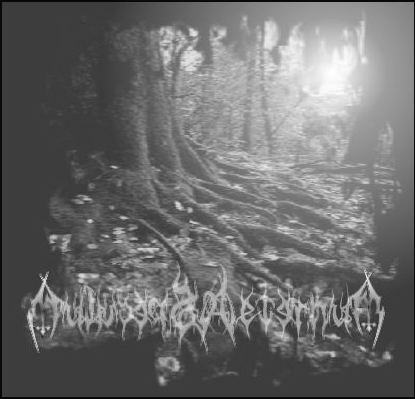 Speculum Aeternum