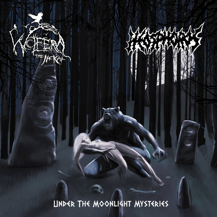 Under the Moonlight Mysteries