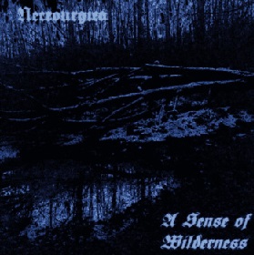 A Sense of Wilderness