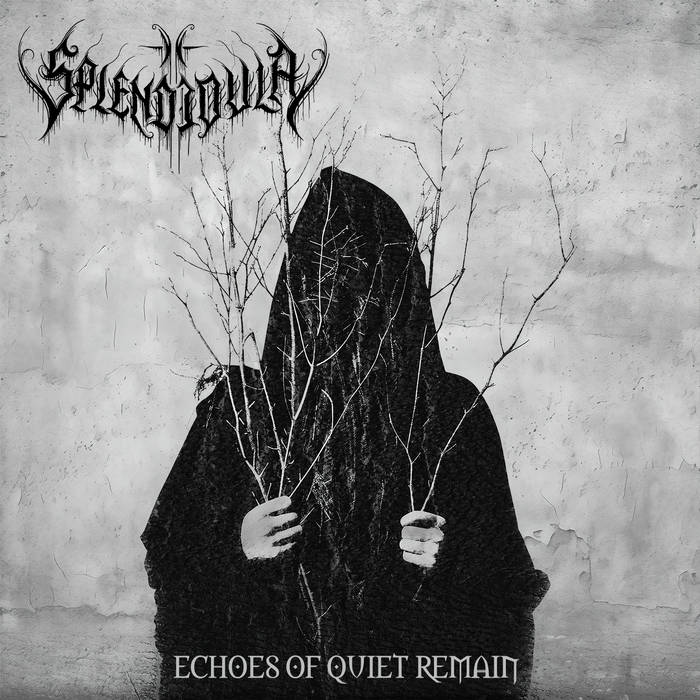 Echoes of Quiet Remain