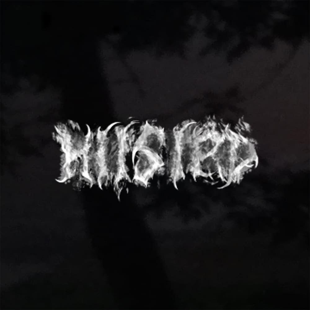 Hiisird