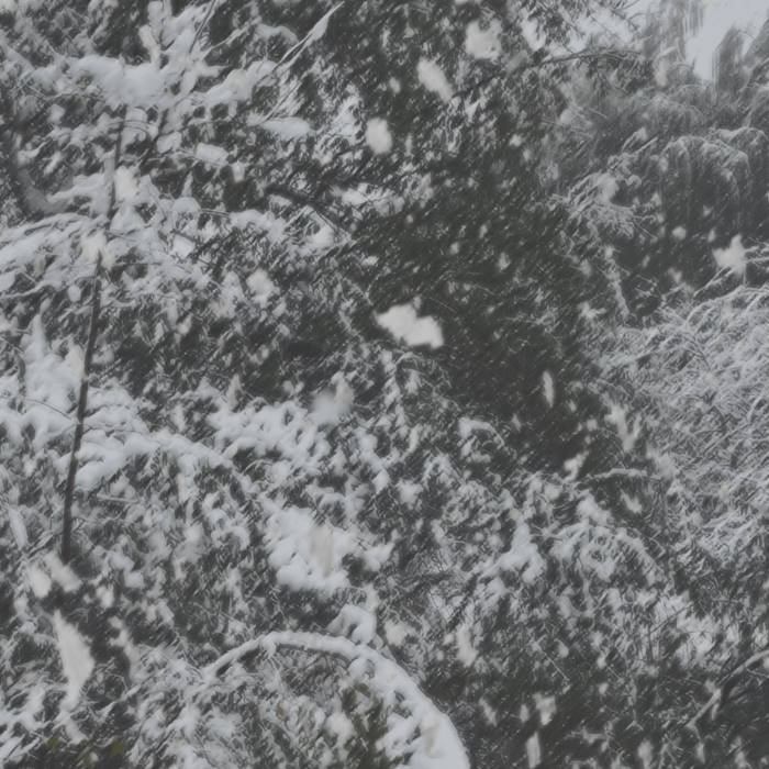 Demo I