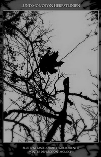 ...und monoton Herbstlinien