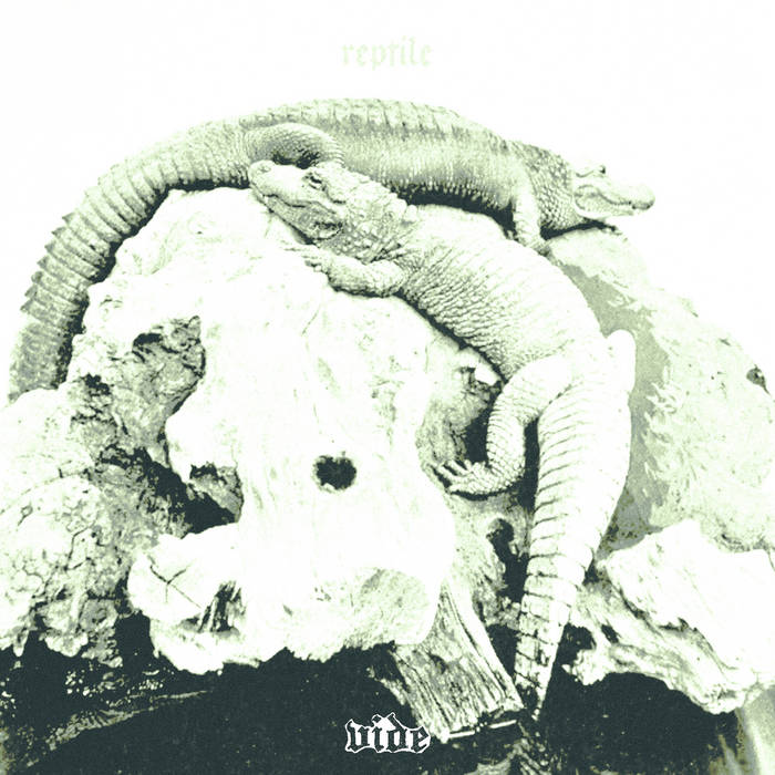 Reptile