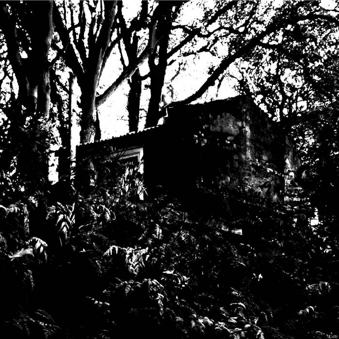 Noise Improvisation 1: Desolation