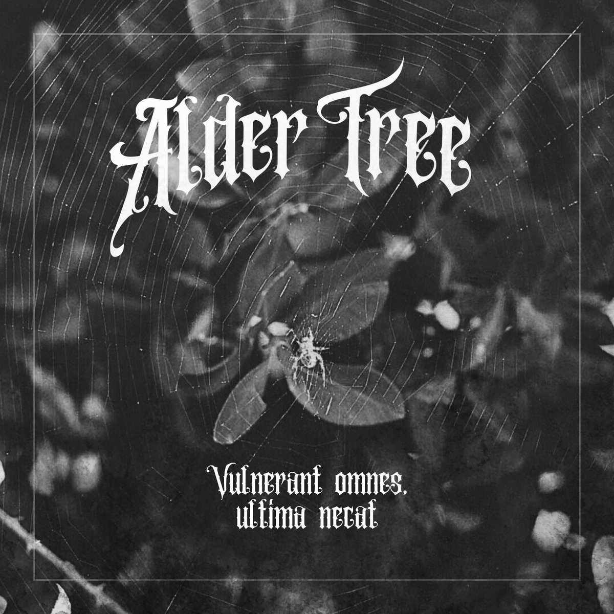 Vulnerant Omnes, Ultima Necat