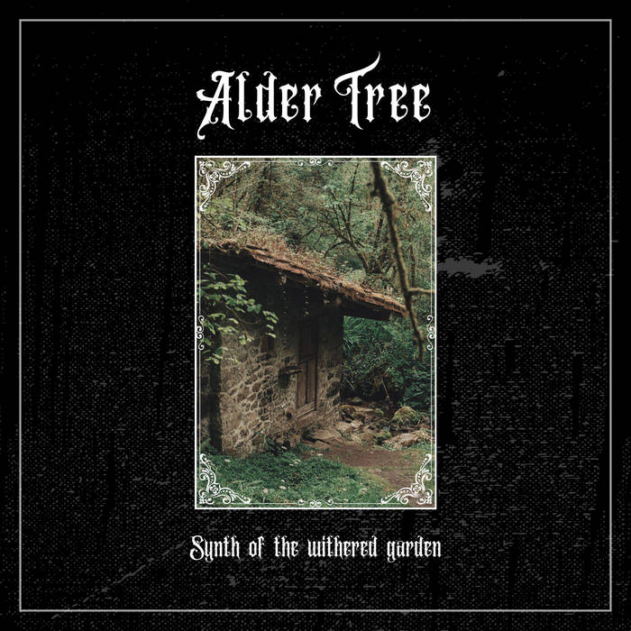 Synth of the Withered Garden