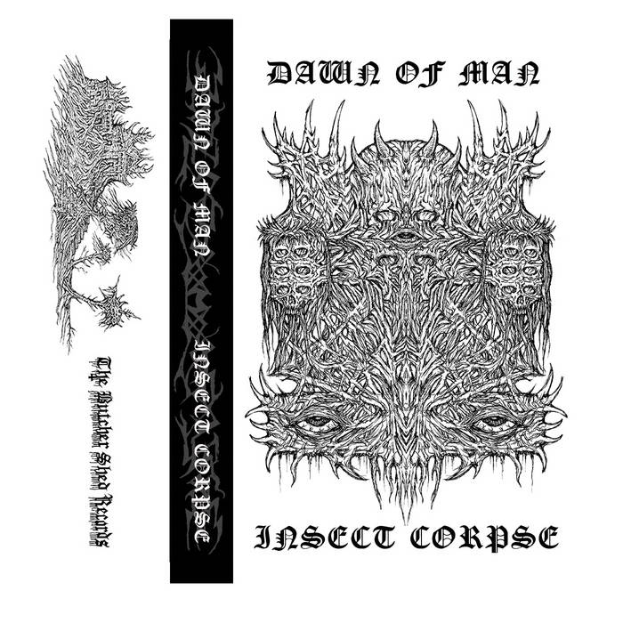Dawn of Man / Insect Corpse