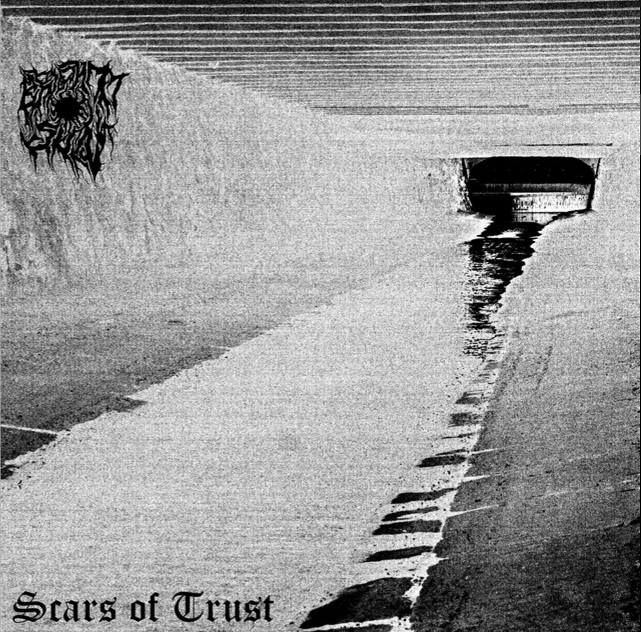 Scars of Trust